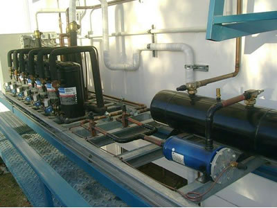 Css Template Preview